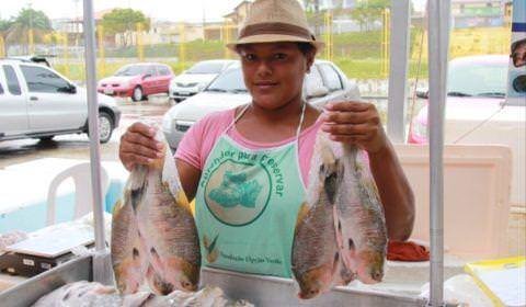 Locais de vendas de pescados ganham estrutura climatizada para atender consumidor na semana Santa