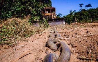 Força-tarefa do MPF vai atuar no combate à macrocriminalidade na Amazônia