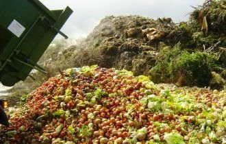 Brasil e União Europeia divulgam pesquisa inédita sobre desperdício de alimentos nas famílias brasileiras