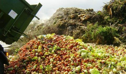 Brasil e União Europeia divulgam pesquisa inédita sobre desperdício de alimentos nas famílias brasileiras