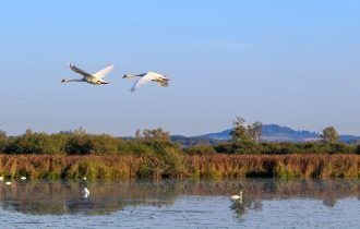 Pós-graduação em Conservação da Fauna da UFSCar divulga edital de seleção para curso de mestrado profissional