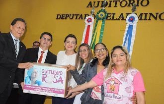 Campanha na ALEAM arrecada 430 lenços para mulheres com câncer