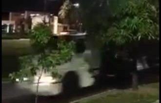 Veículos em alta velocidade em avenida Efigênio Salles mata diversos periquitos
