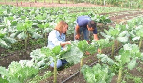 Período de inscrição para o concurso do Idam encerra na próxima quarta-feira (30/01)