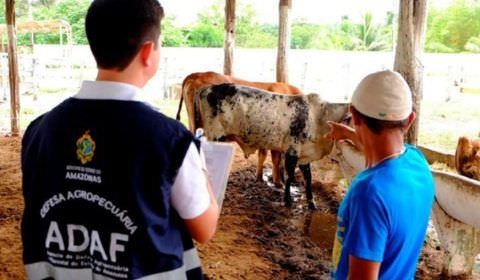 Adaf divulga resultado preliminar da prova objetiva do concurso público