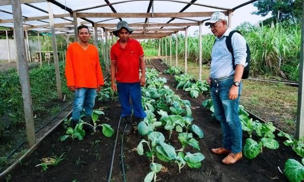 Agricultor de 22 anos se destaca na produção de hortaliças e frutas em Urucurituba