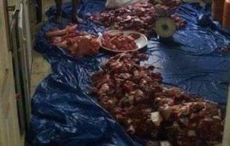 Mulher vendia espetinho feito de carne de cachorro