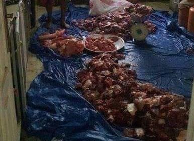 Mulher vendia espetinho feito de carne de cachorro
