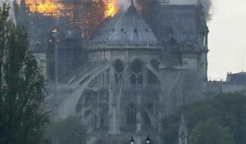 Catedral gótica de Notre-Dame em chamas