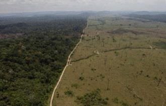Brasil vai à mesa de negociação para discutir o futuro da Amazônia