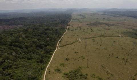 Brasil vai à mesa de negociação para discutir o futuro da Amazônia