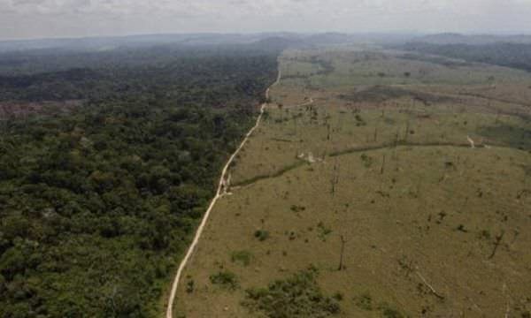 Brasil vai à mesa de negociação para discutir o futuro da Amazônia