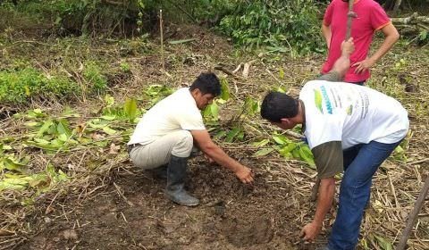 Idam em Benjamin Constant realiza Demonstração de Método em cultivo de melancia