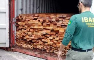 MPF denuncia 22 envolvidos em esquema de fraudes e crimes ambientais no AM