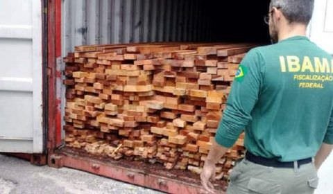 MPF denuncia 22 envolvidos em esquema de fraudes e crimes ambientais no AM