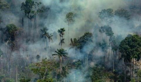 Produtores negam participação em plano de atear fogo a florestas na Amazônia