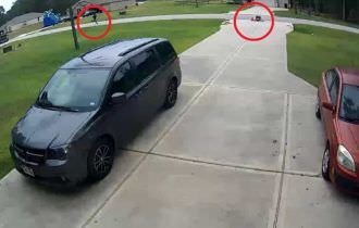 VÍDEO: Vizinho salva menino de 6 anos de ser devorado por pitbull