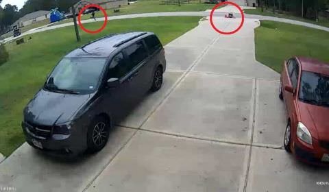 VÍDEO: Vizinho salva menino de 6 anos de ser devorado por pitbull