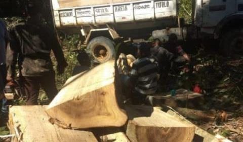 Cinco homens são presos em flagrante por retirada ilegal de madeira na AM-070