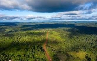 Wilson Lima tratou com lobistas para “vender e destruir a floresta”, diz Intercept