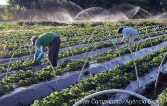 Pesquisa mostra desconcentração regional no setor de serviços