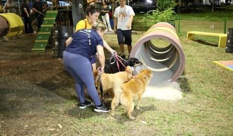 Prefeitura de Manaus inaugura “ParCão” de R$ 207 mil feito de bueiro e pneu reciclável