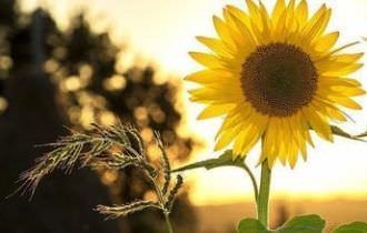 Setembro Amarelo vai discutir sem tabu temas polêmicos como depressão e suicídio