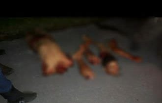 Corpo esquartejado é jogado de  carro em movimento em Manaus