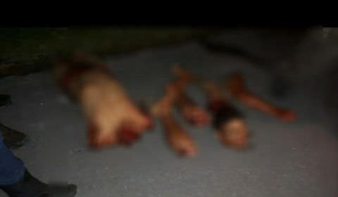 Corpo esquartejado é jogado de  carro em movimento em Manaus