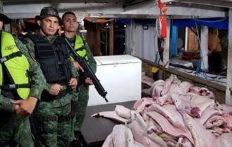 Apreensão de pescado pela PM aumenta nove vezes em 2019