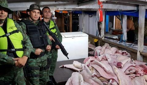 Apreensão de pescado pela PM aumenta nove vezes em 2019