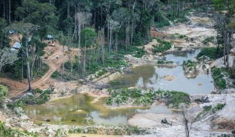 Parecer do MPF aponta danos milionários causados pela extração ilegal de ouro à Floresta Amazônica