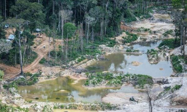 Parecer do MPF aponta danos milionários causados pela extração ilegal de ouro à Floresta Amazônica