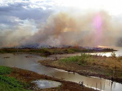 Carbono negro encontrado no rio Amazonas revela queimadas recentes na floresta