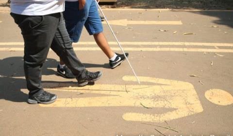 Caminhada em Brasília marca luta de deficientes por maior inclusão
