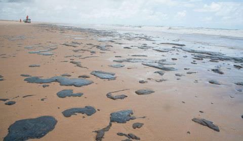 Governo tem suspeita sobre origem de manchas de óleo, diz Bolsonaro