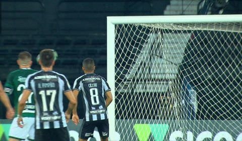 Botafogo vence Goiás e encara Palmeiras na próxima rodada