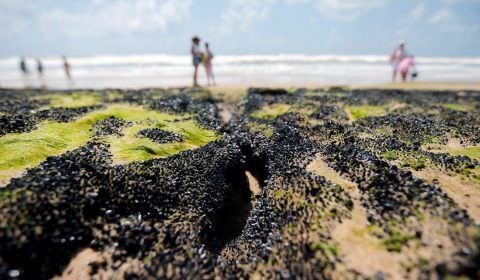 Governo libera R$ 130 milhões para seguro-defeso a pescadores do NE