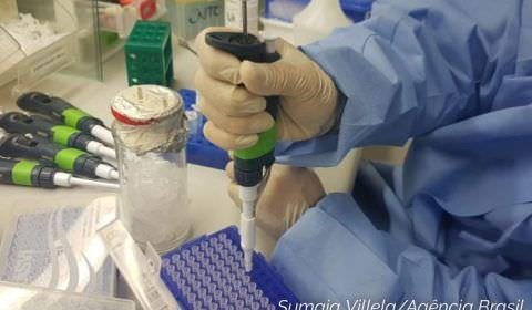 Mulheres e crianças infectadas por Zika desenvolvem imunidade ao vírus