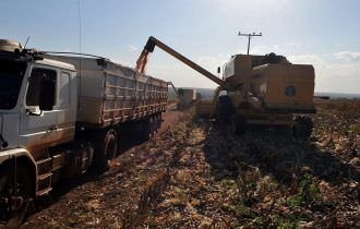 MP deve ampliar créditos para financiamento do agronegócio