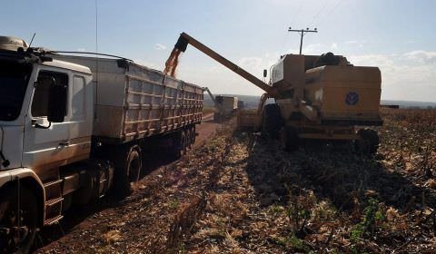MP deve ampliar créditos para financiamento do agronegócio