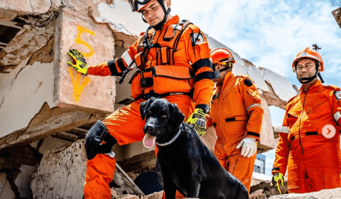 Sobem para seis os mortos do desabamento de prédio em Fortaleza