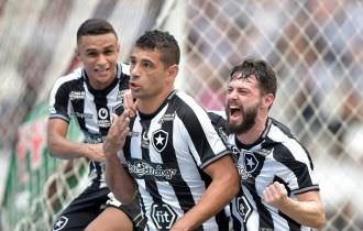 Botafogo tem projeto para buscar dias melhores