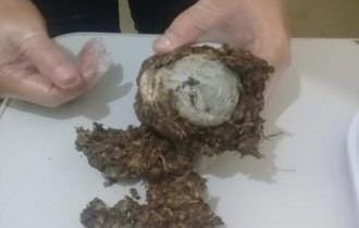 Mulher é flagrada ao tentar em presídio com drogas escondidas nas partes íntimas