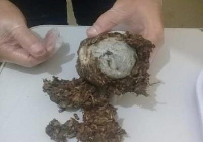 Mulher é flagrada ao tentar em presídio com drogas escondidas nas partes íntimas