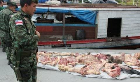 Batalhão Ambiental apreendeu mais de 400kg de carne de caça este ano no Amazonas