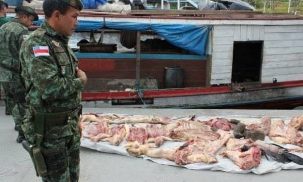 Batalhão Ambiental apreendeu mais de 400kg de carne de caça este ano no Amazonas