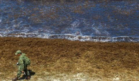 Óleo continua se espalhando e atinge novas praias de Pernambuco