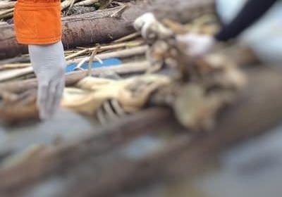 Ossada humana é achada às margens de rio no Amazonas