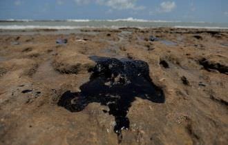 Capes vai liberar R$ 1,3 milhão para pesquisas sobre manchas de óleo